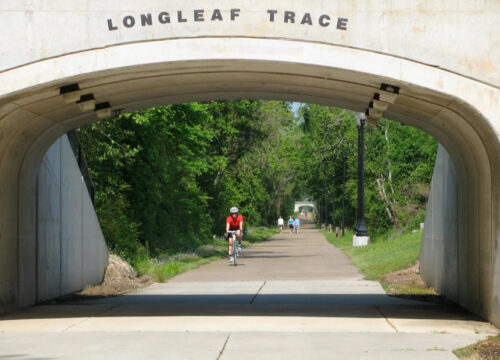 Walk or bike the scenic Longleaf Trace trail